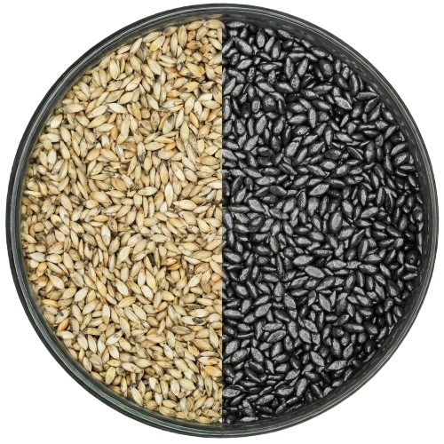 Sementes de Alta Qualidade