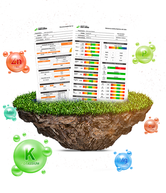 Suporte Técnico Especializado